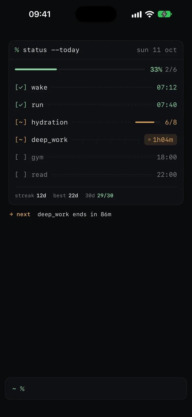 Routine's daily status screen: 33% complete, six items with [✓], [~] and [ ] markers, a streak of 12 days and a next-up line.